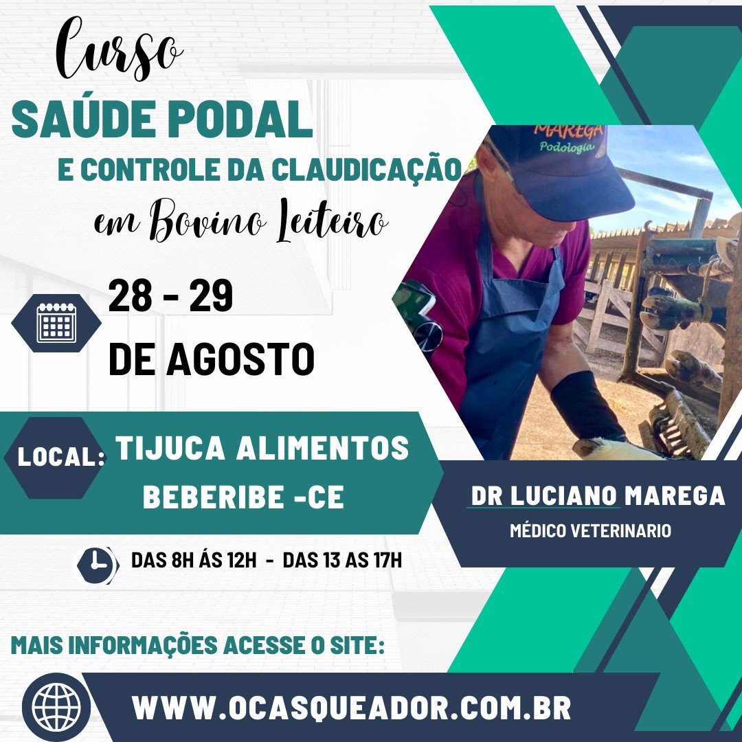 curso CE